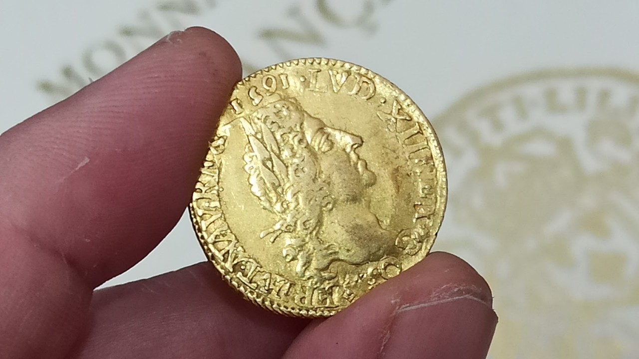Un Véritable Louis d'Or de Louis XIV (Rareté et Valeur)